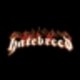 jakovosor
