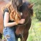 equi-ethologie