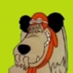 vivicarla