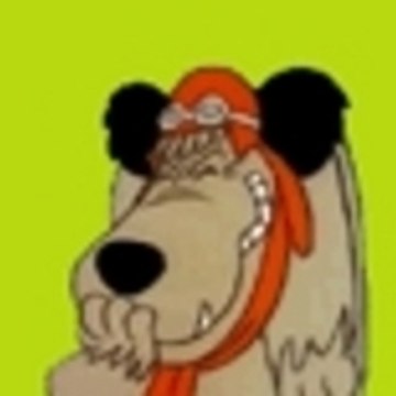 vivicarla