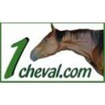 JFR 1cheval.com