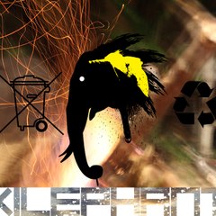 Xilephant VIDEO