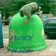 Fleick