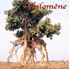 AssoPhilomene