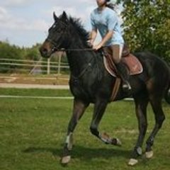 CROISSANT Gwendoline