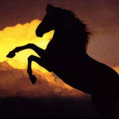 missdada1