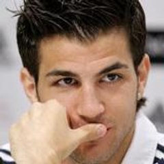 fabregas_bgs95