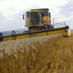 lolo tspark55