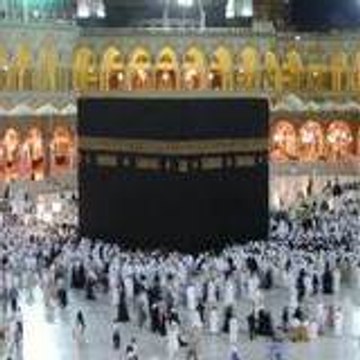 llies islam
