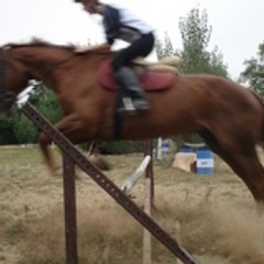 Folle-de-cso