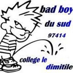 TI-LEB
