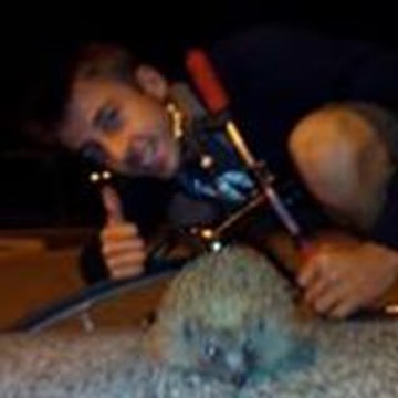 ludovic