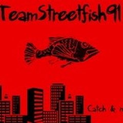 streetfish91
