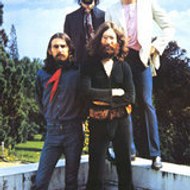 william eduardo cota