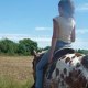 Manolye