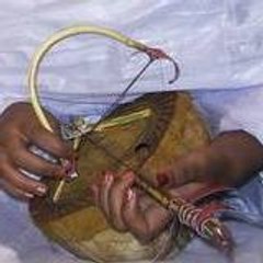 Farida S.