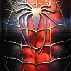 spider_bs