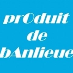 Les Sales Nègres