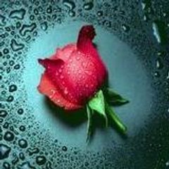 myriam