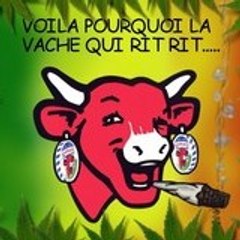 timike9999