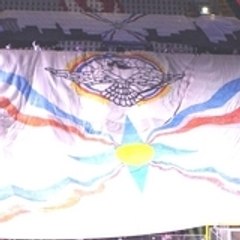 filip954