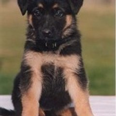 Alex and Heather Smith