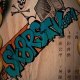 sk8rstv