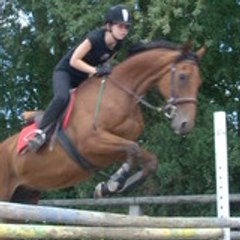 poulain44400