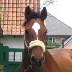 Laurence_564