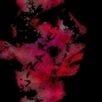 Dj-Rabies