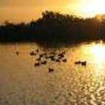 siffleurdu62