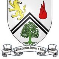 Ianis martin