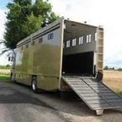 katywilltrans