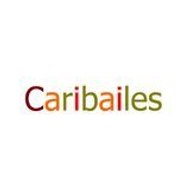 CARIBAILES Dance Academy