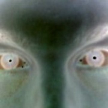 ludo_84
