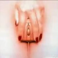 vili_80