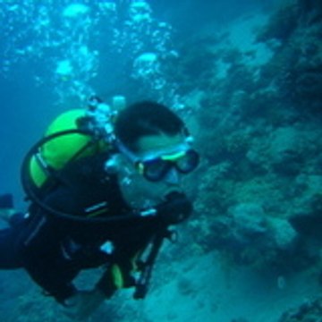 sebastien91390