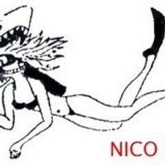 nicoplongee