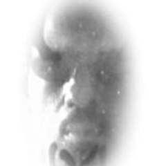 wayne25j