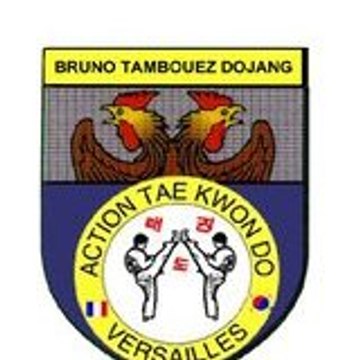 Profil DailyMotion de l&rsquo;utilisateur ACTION TAEKWONDO VERSAILLES CHESNAY