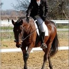 pationcheval