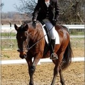 pationcheval