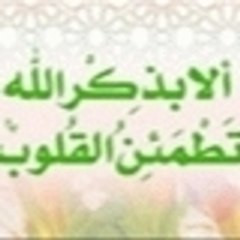 walidbenayed