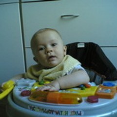 goditiabois