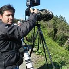 ekrem67