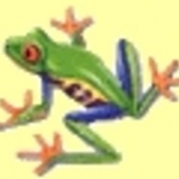 jojo71300