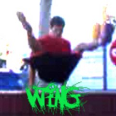 WinG-TraceuR