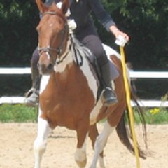 mlleiissaabbeell