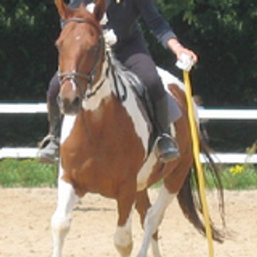 mlleiissaabbeell