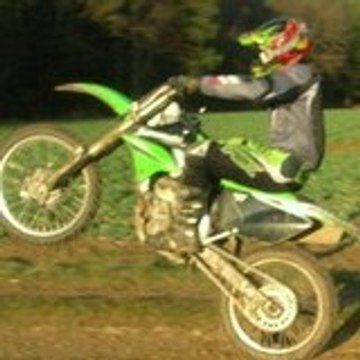 vins